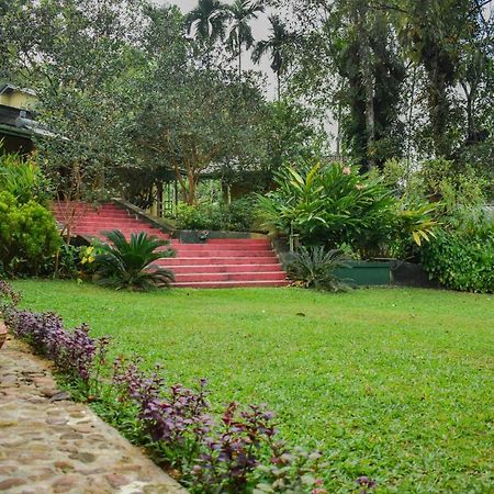 Blue Magpie Lodge Sinharaja Kudawe Kültér fotó