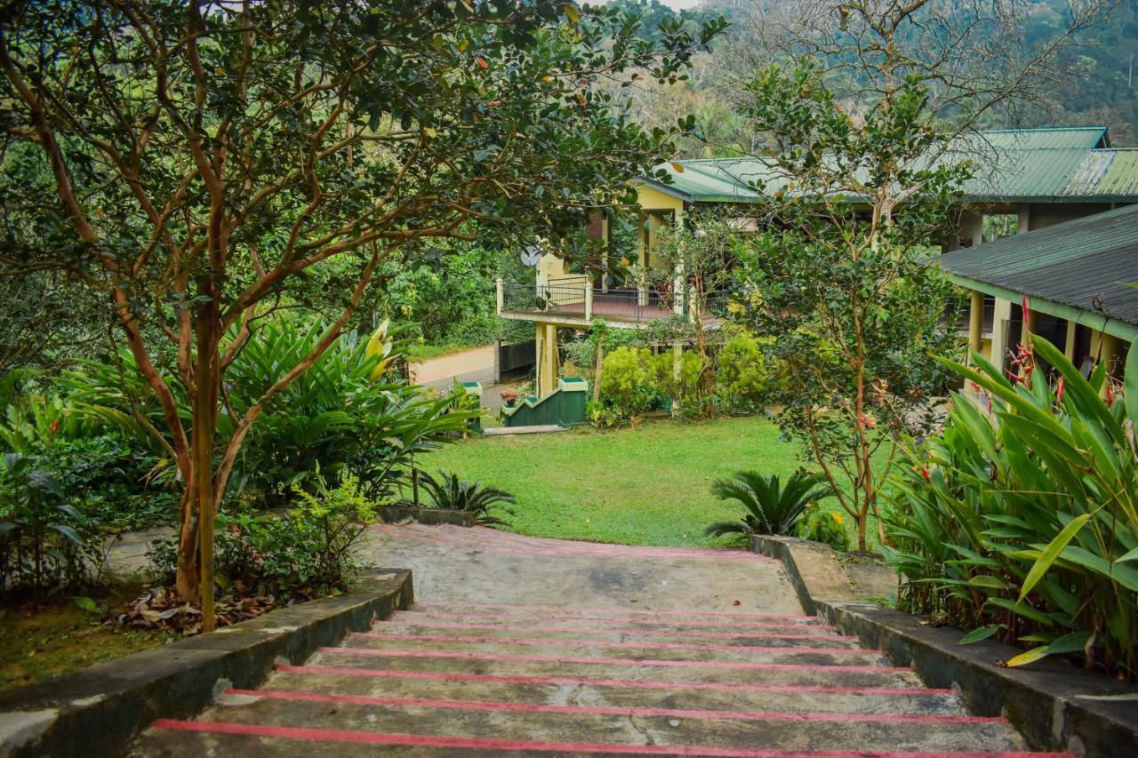 Blue Magpie Lodge Sinharaja Kudawe Kültér fotó