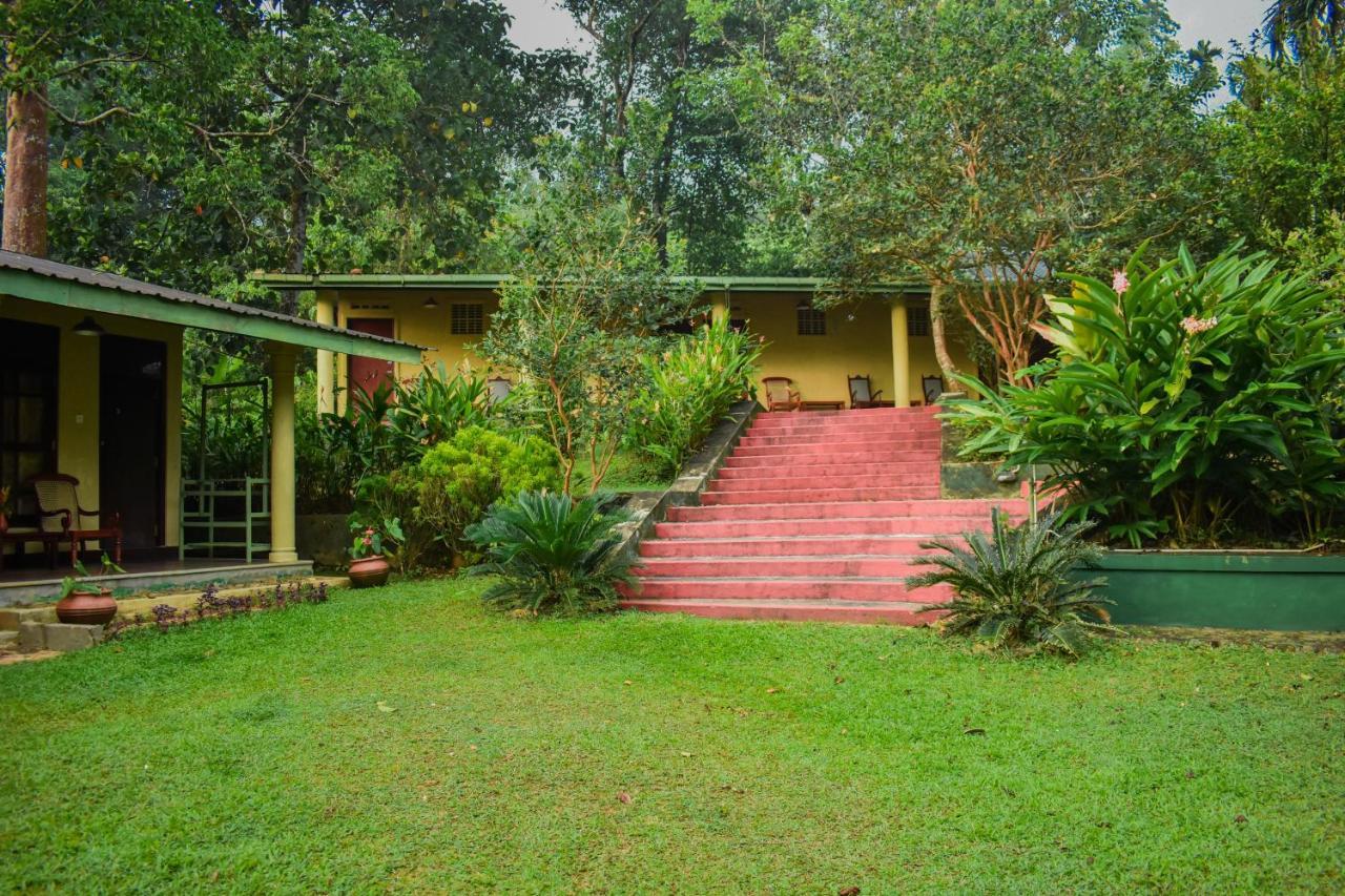 Blue Magpie Lodge Sinharaja Kudawe Kültér fotó